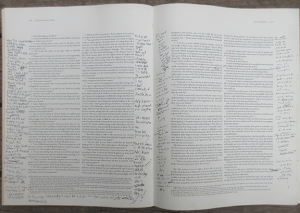 Image of poem written on Jung pages.